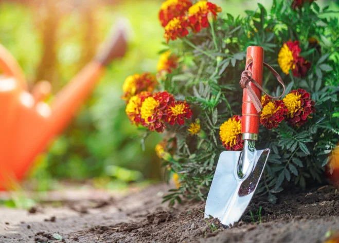 Garden tools